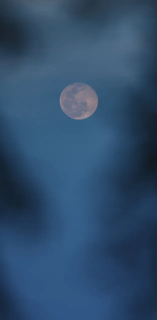 Lua no céu azul