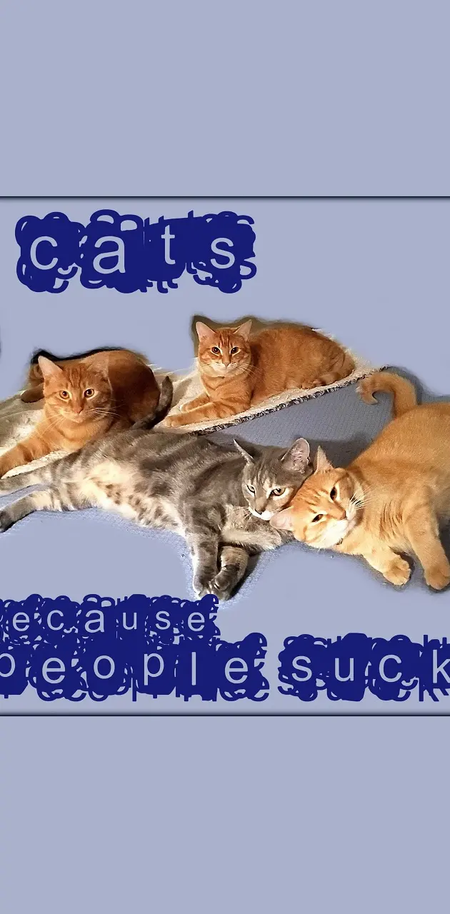 Cats, People S**k