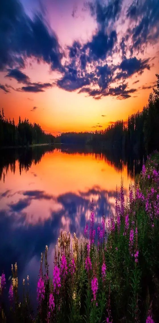Beautiful  Lake