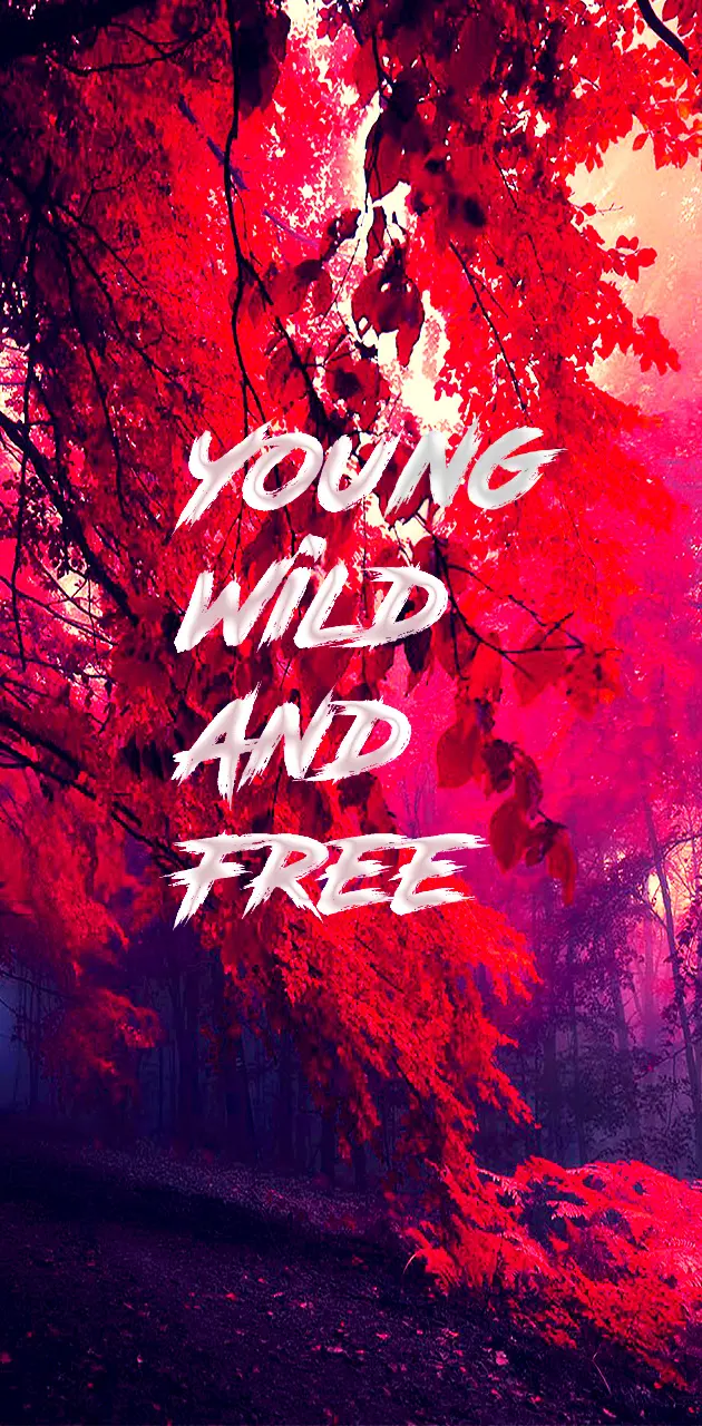 Young Wild And Free