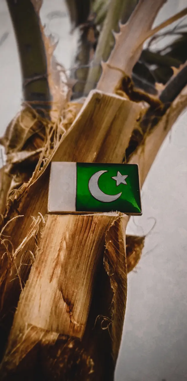 Pakistan flag click 