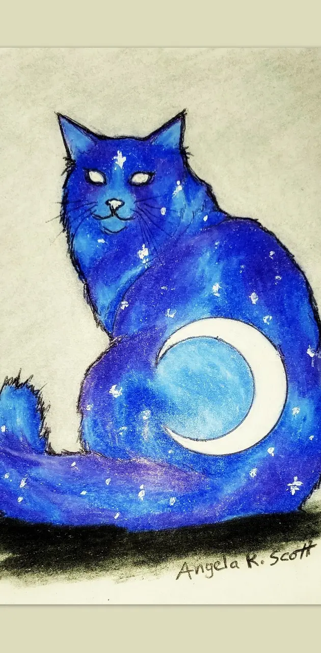 Celestial Galaxy Cat
