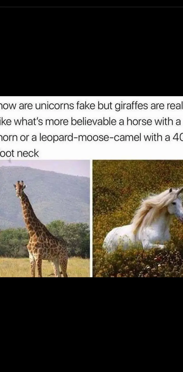 Unicorn are real