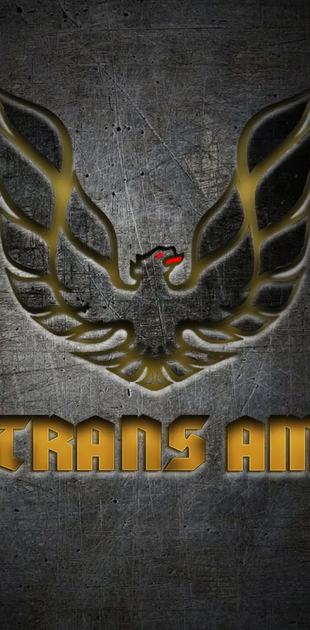 Trans Am Grunge Logo