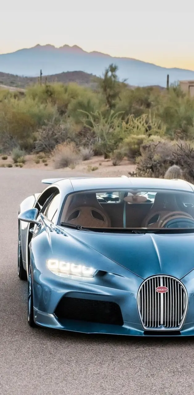 Bugatti Chiron 1 of 1