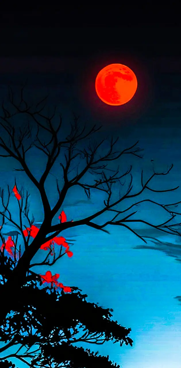 darknight red moon
