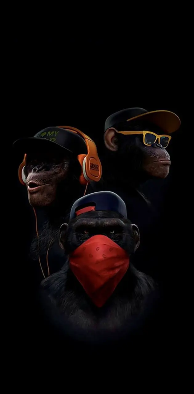 Wise Monkeys 