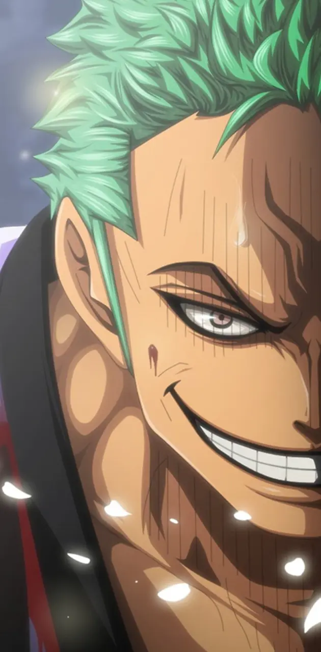 zoro wano