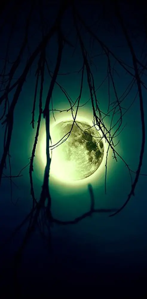 Awesome Moon