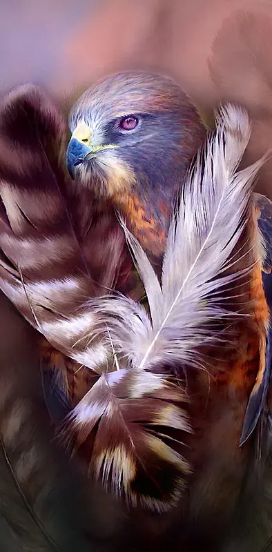 Spirit-hawk