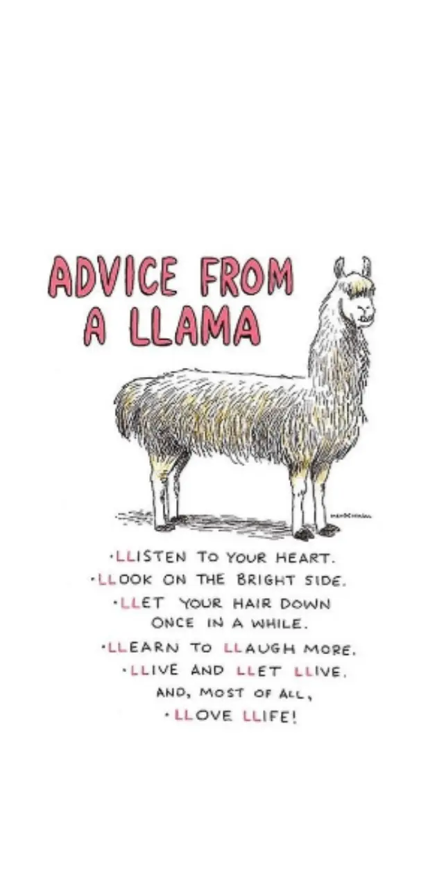 Advice from a llama