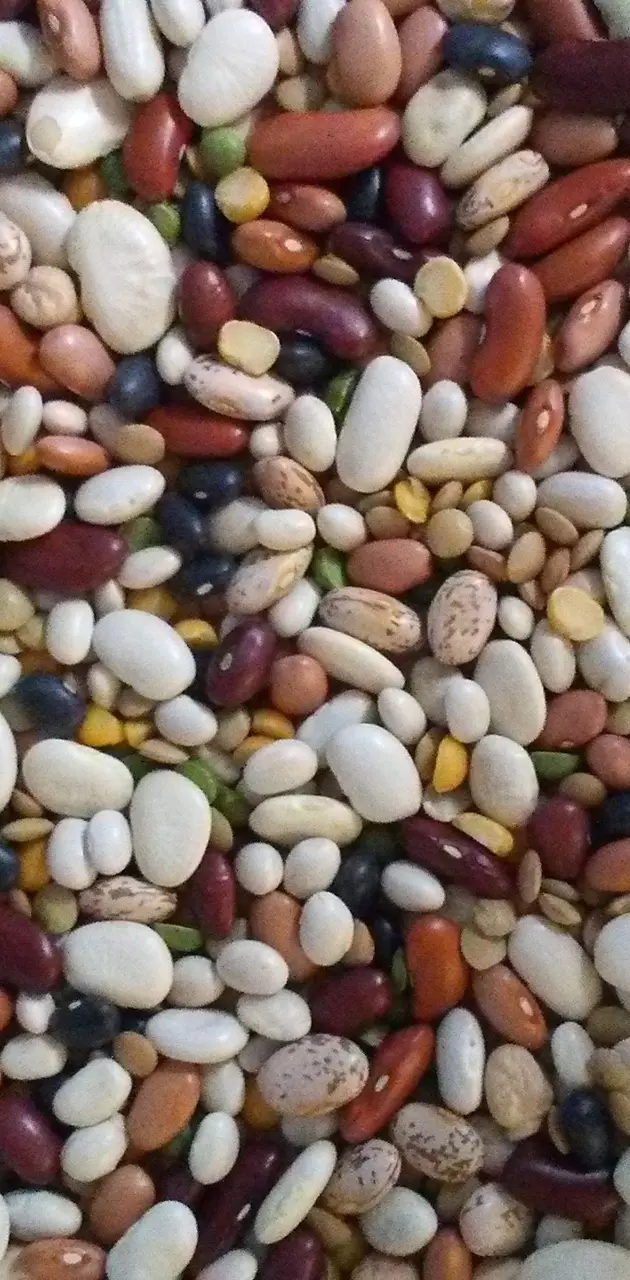 15 Beans