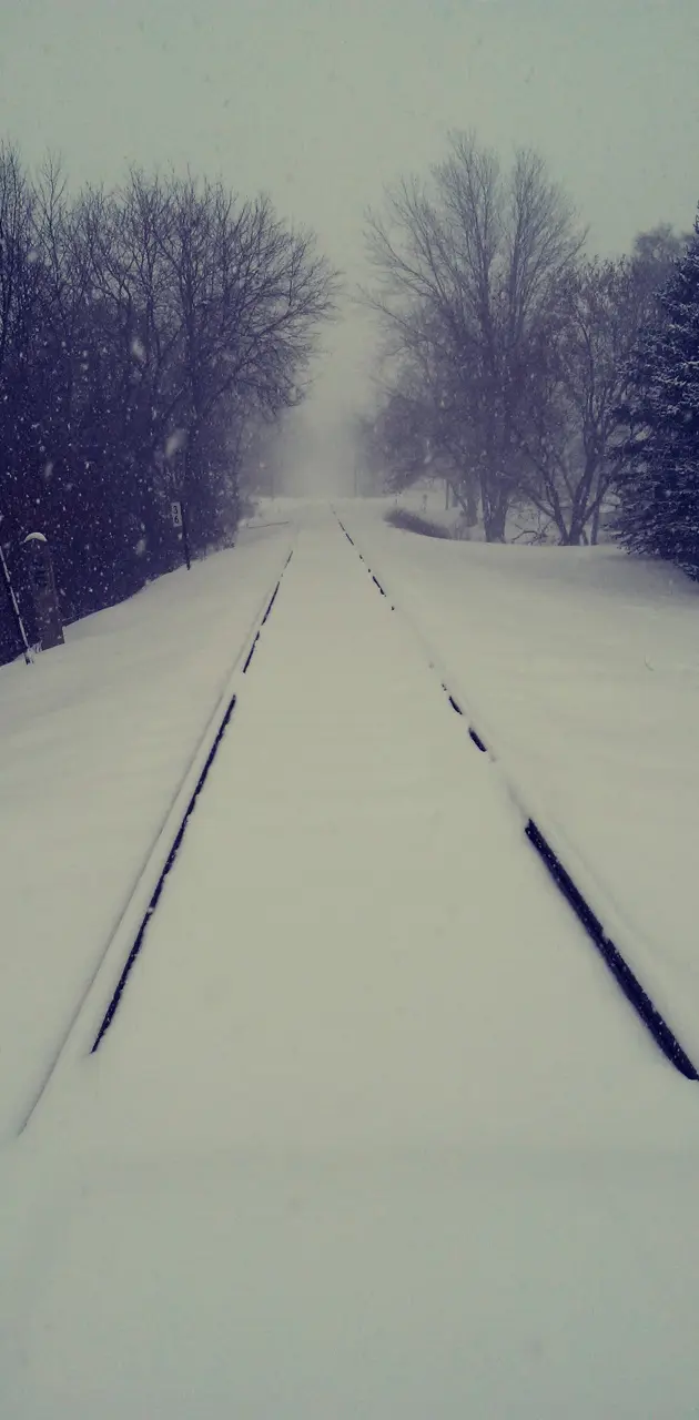 Winter Rail