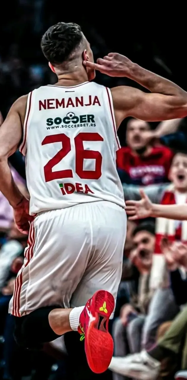 Nemanja Nedović