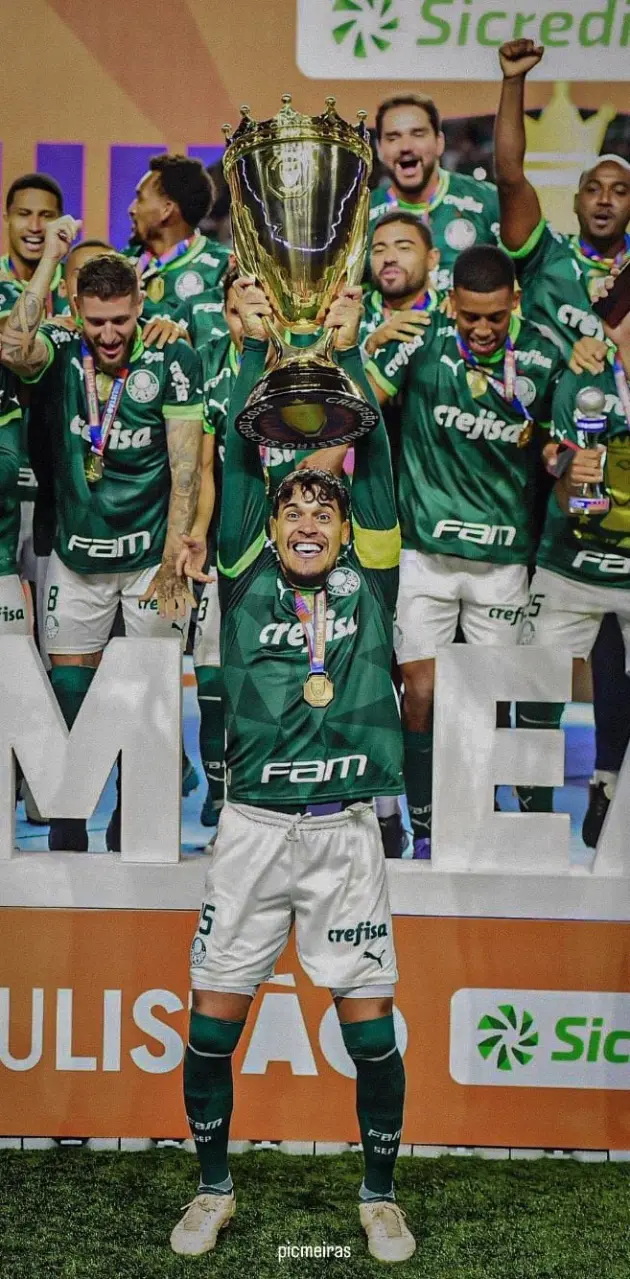 Palmeiras Paulista 23