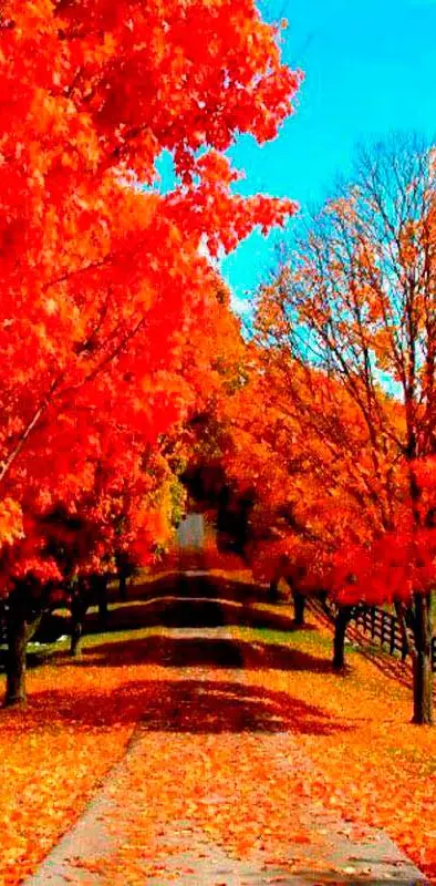 Colors Of Autumn