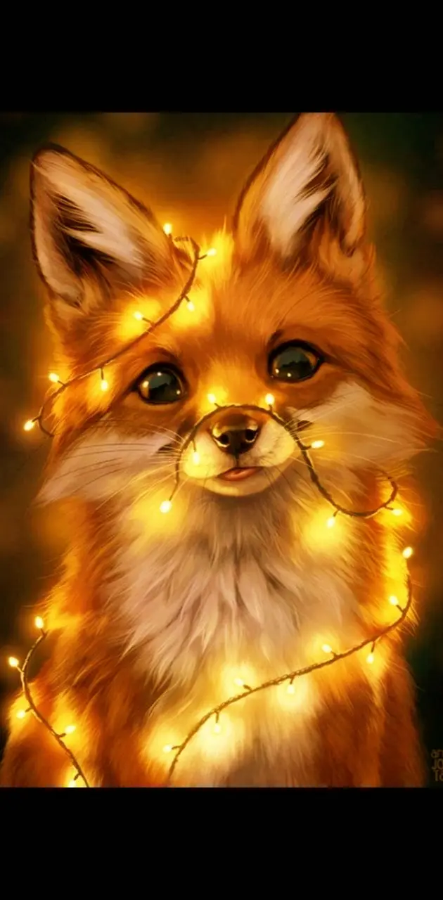 Light fox