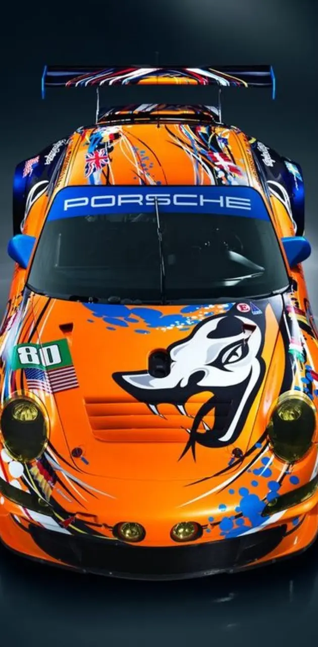 Porsche IMSA 2019