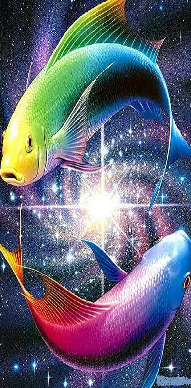 3d Colourfull Fish