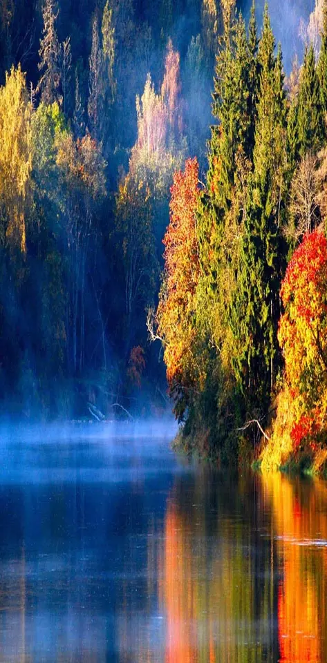 Autumn forest river