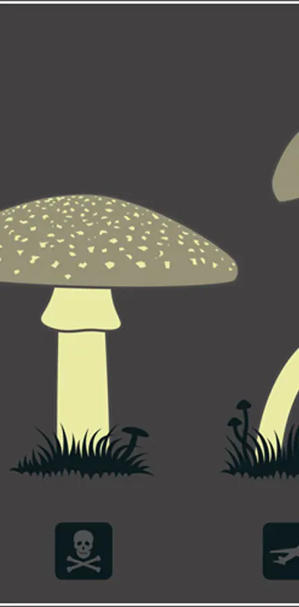 Mushroom Science