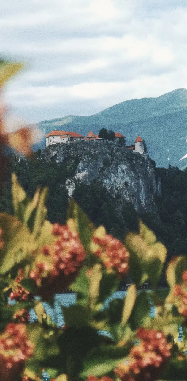 Bled Castel