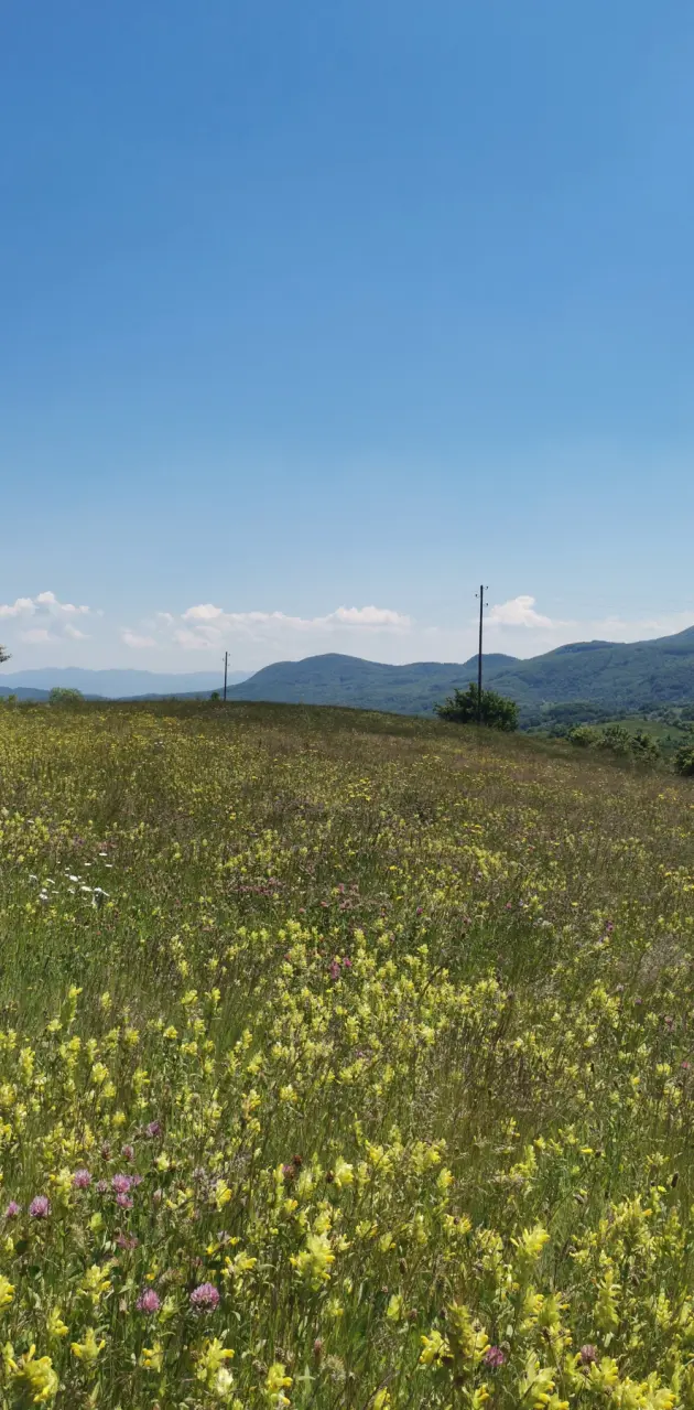 Pogled sa Golije