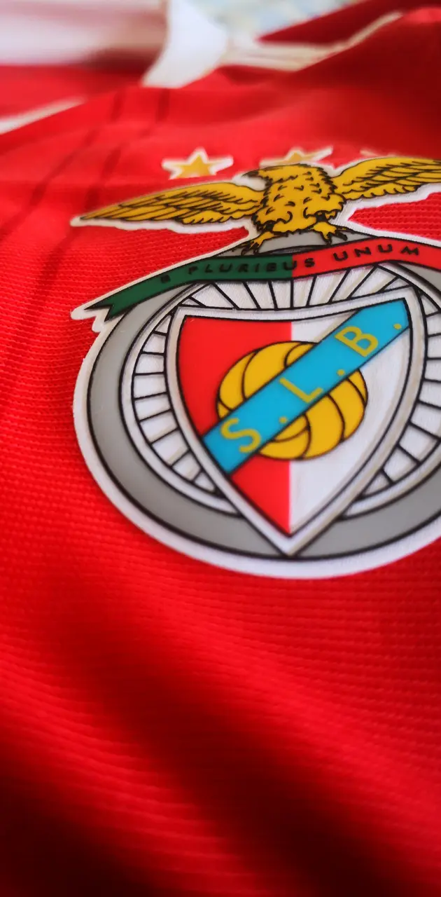 Benfica Symbol 