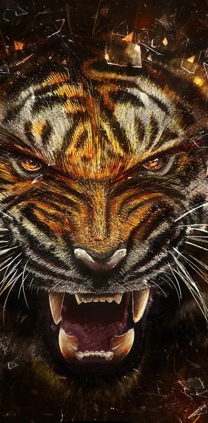 Tiger Wallpapers