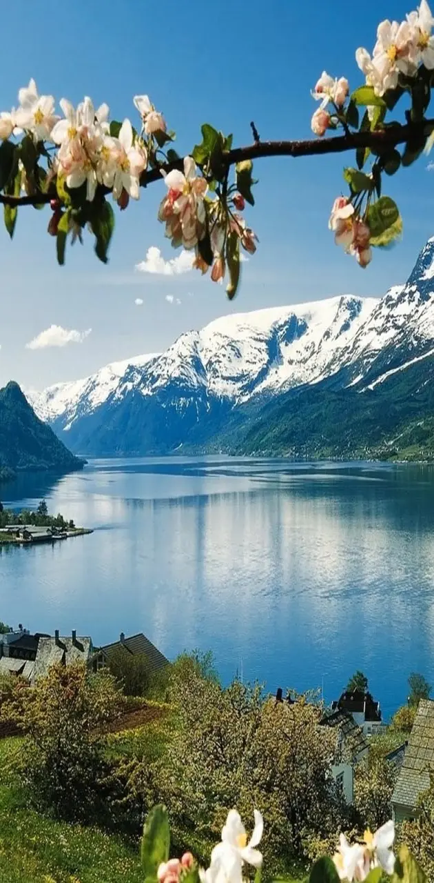 Norway Mountains