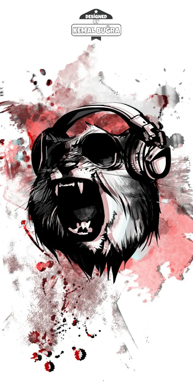 Lion wallpaper