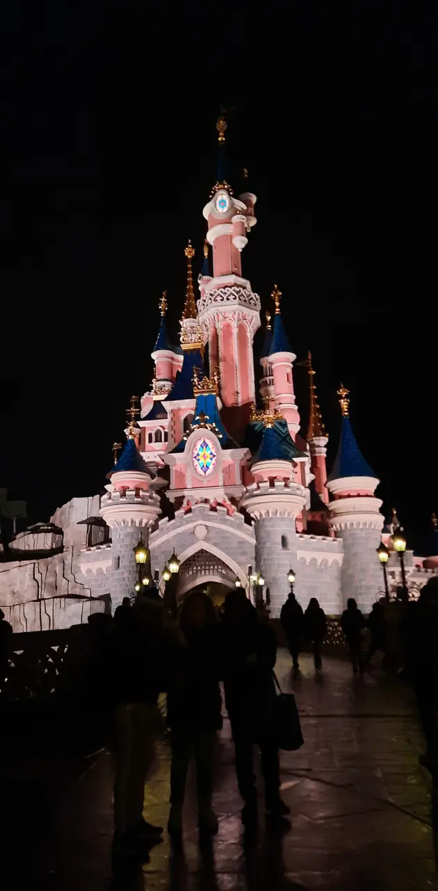 Disney Paris Castle 