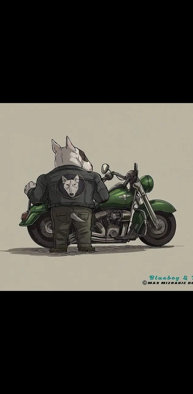 motorcycle 