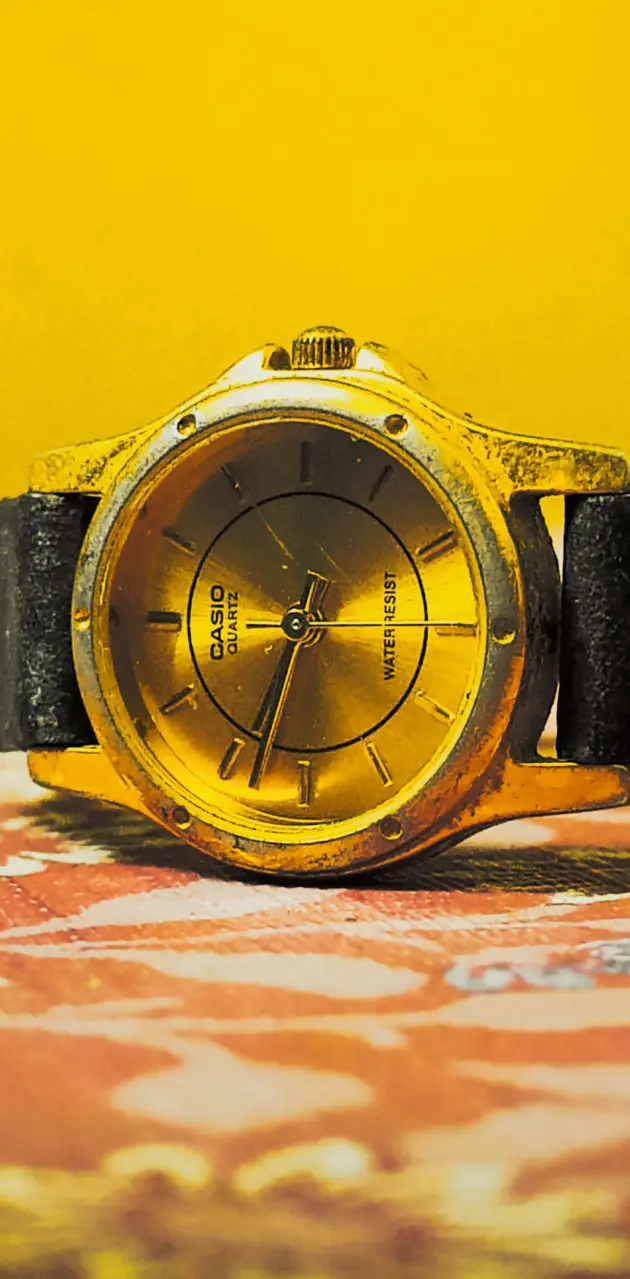 Titan watch