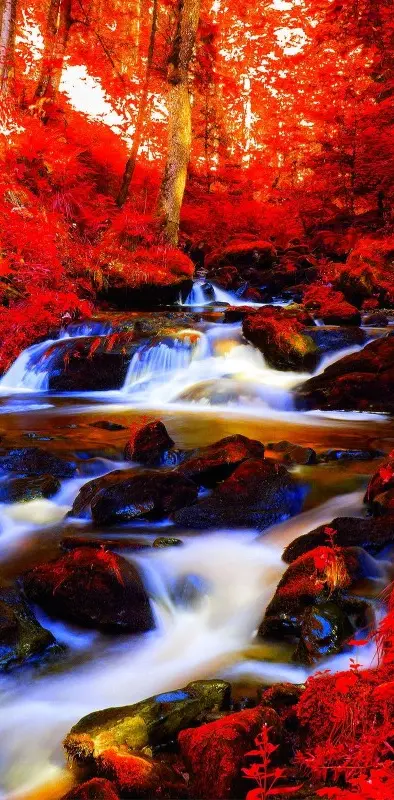 Autumn Falls Stream