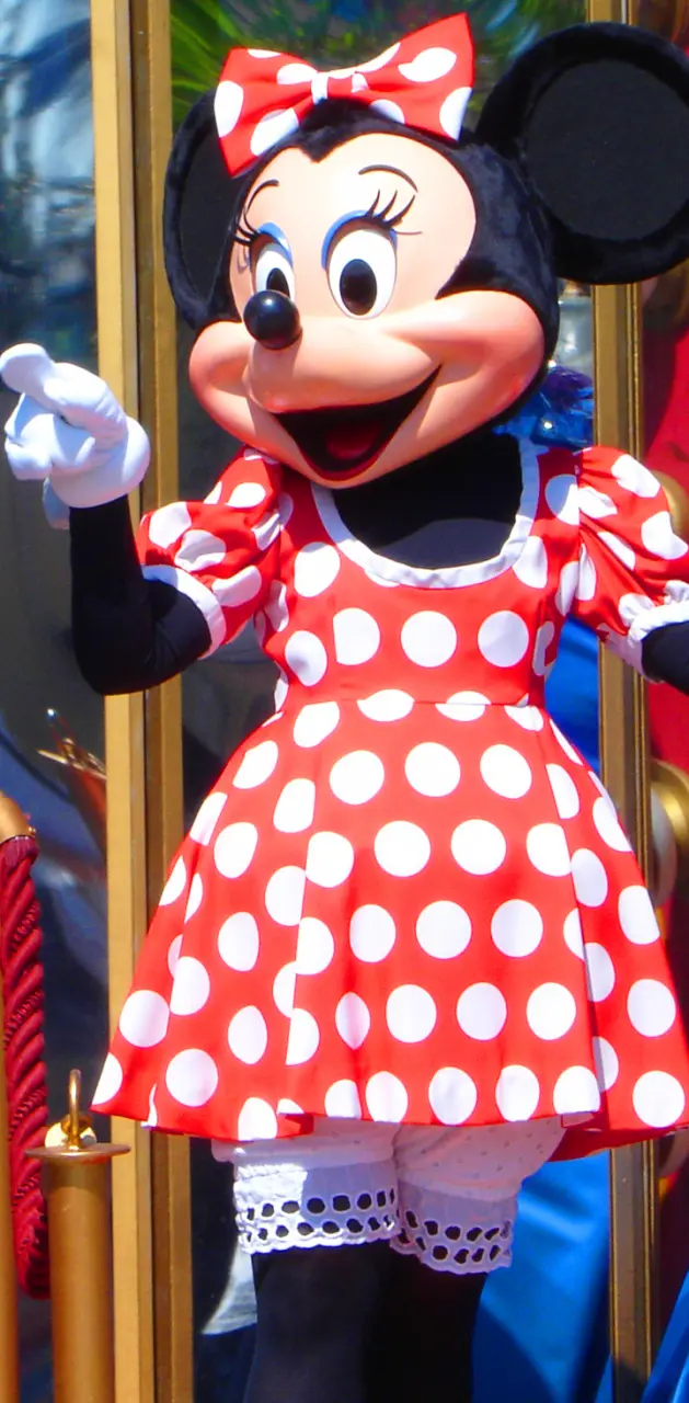 MInnie Mouse 56