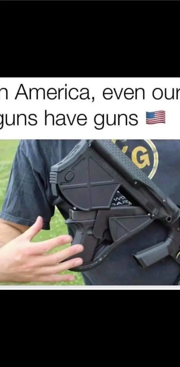 gun has a gun