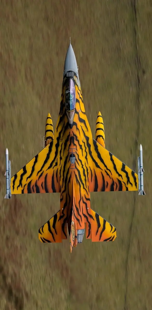 F16 Fighter Jet Tiger