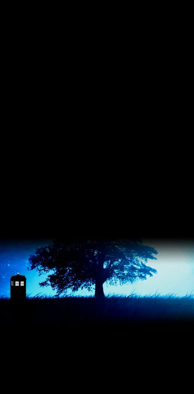 TARDIS on Moonlight