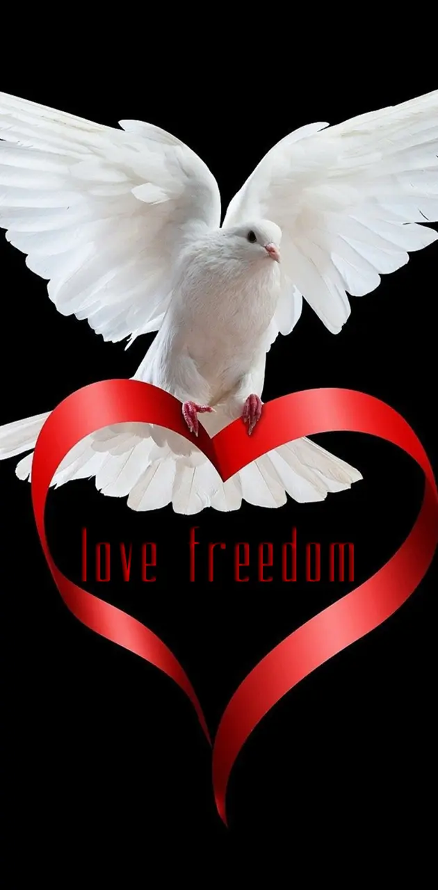 Love Freedom
