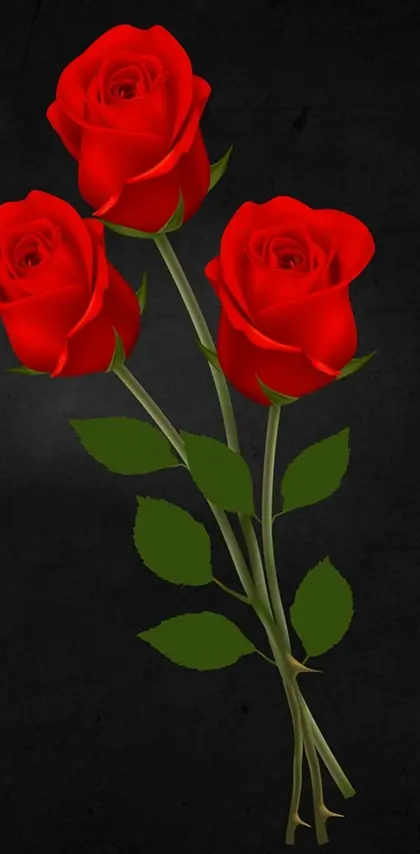 3d red roses