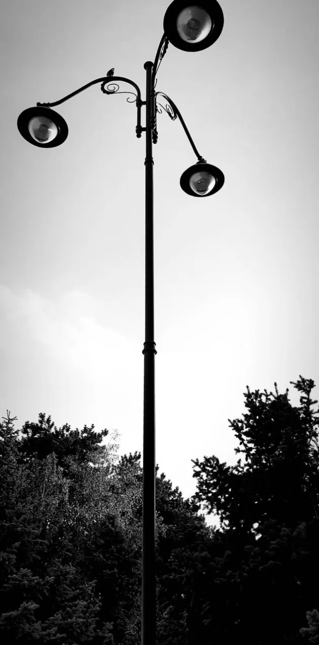  Street lamp