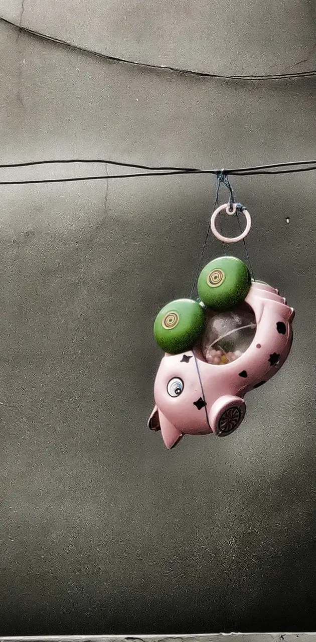 Hanging Toy