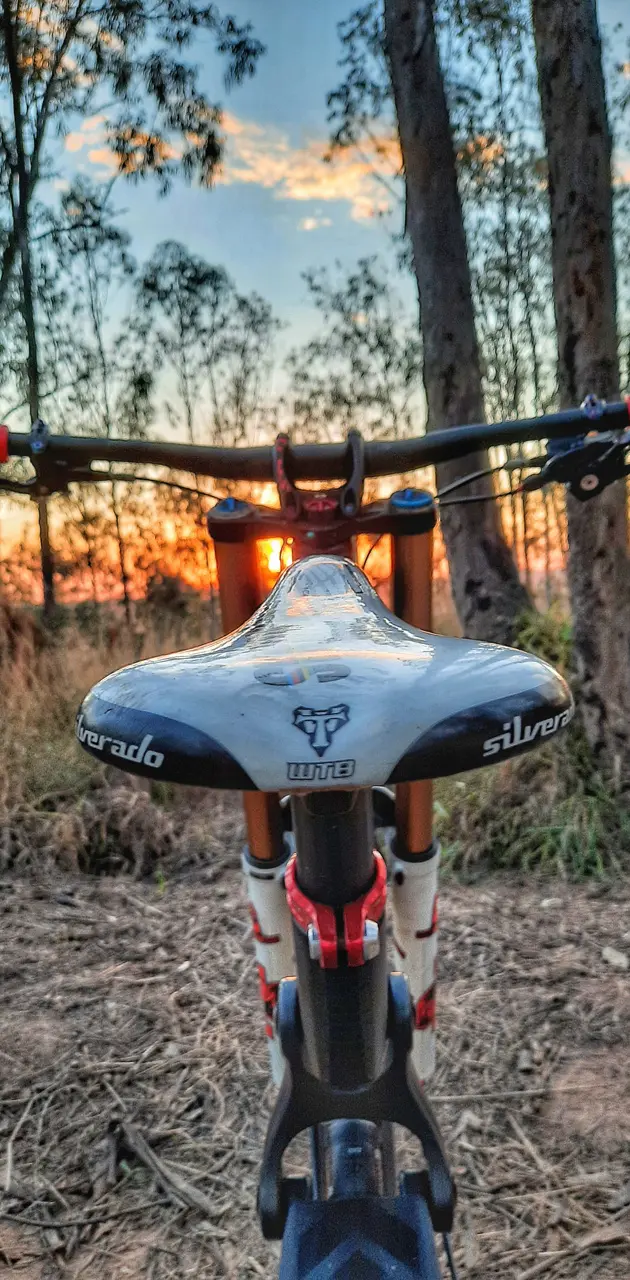 Sunset Bicycle 