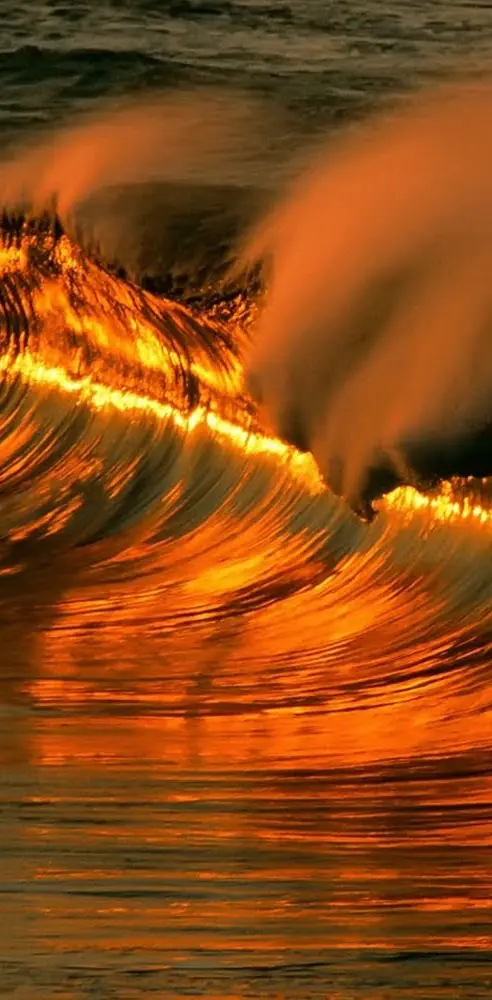 Wave Of Fire
