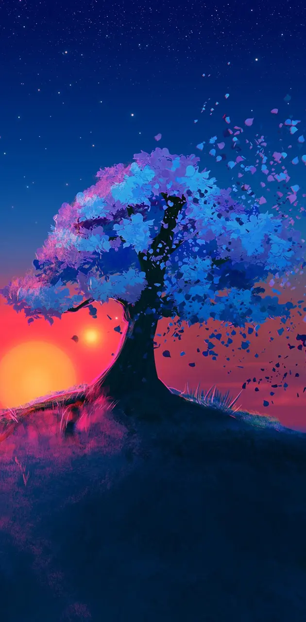 tree blue sun