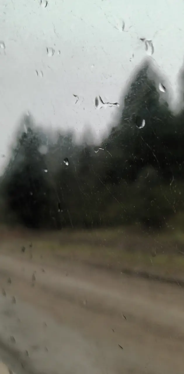 Rain and Window