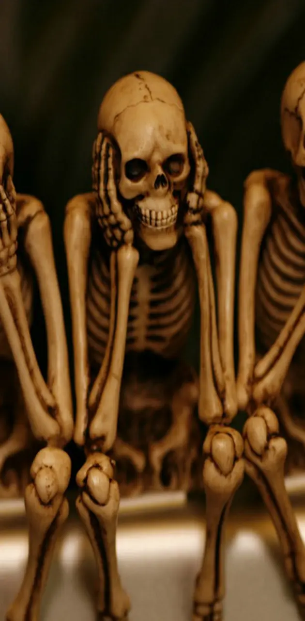 Funny skeletons