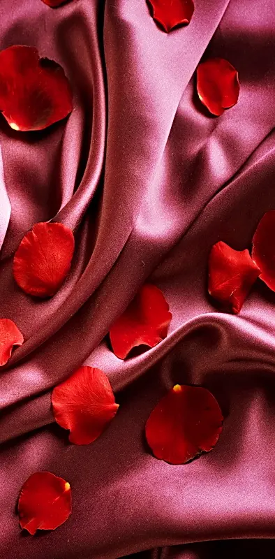Rose Petals On Silk