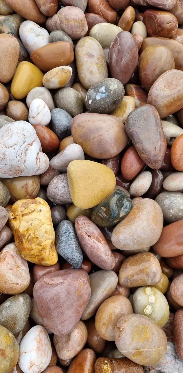 Devon stones